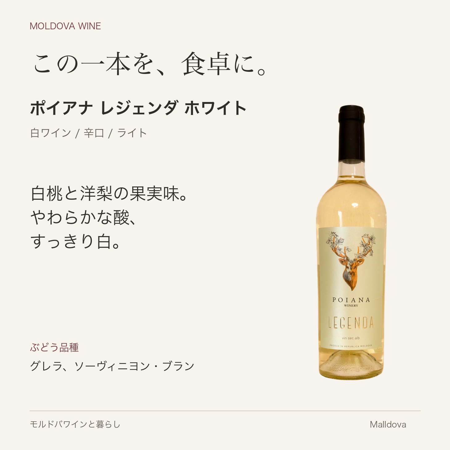ポヤーナ レジェンダ ホワイト 2024