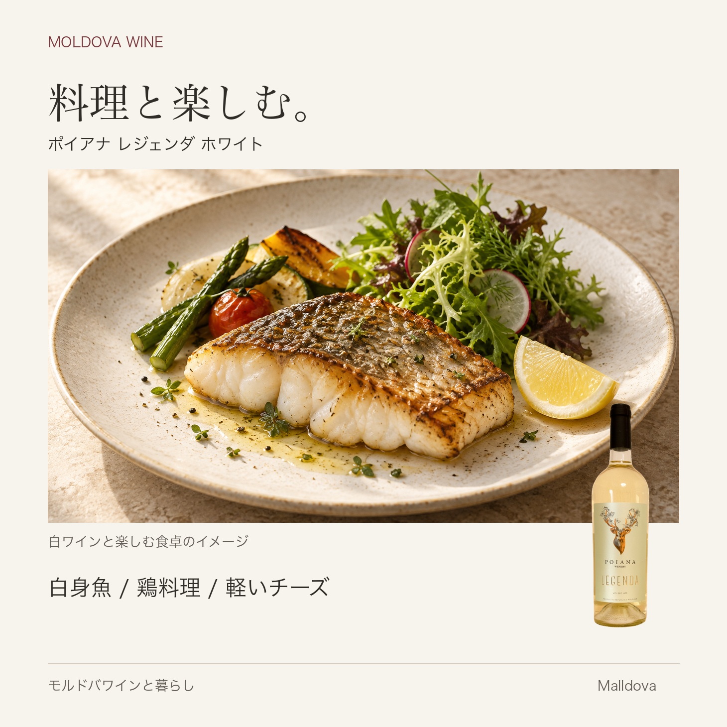 ポヤーナ レジェンダ ホワイト 2024