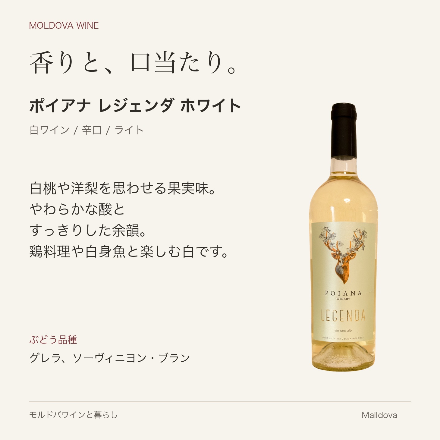 ポヤーナ レジェンダ ホワイト 2024