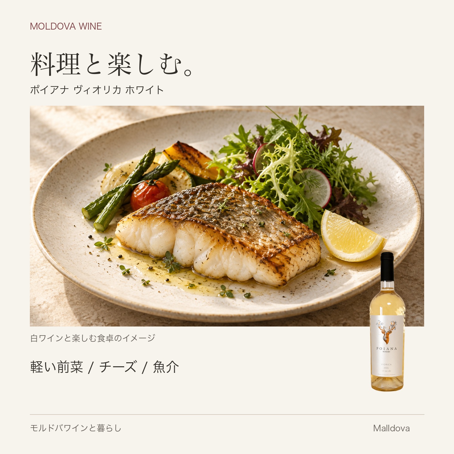 ポヤーナヴィオリカ ホワイト 2024