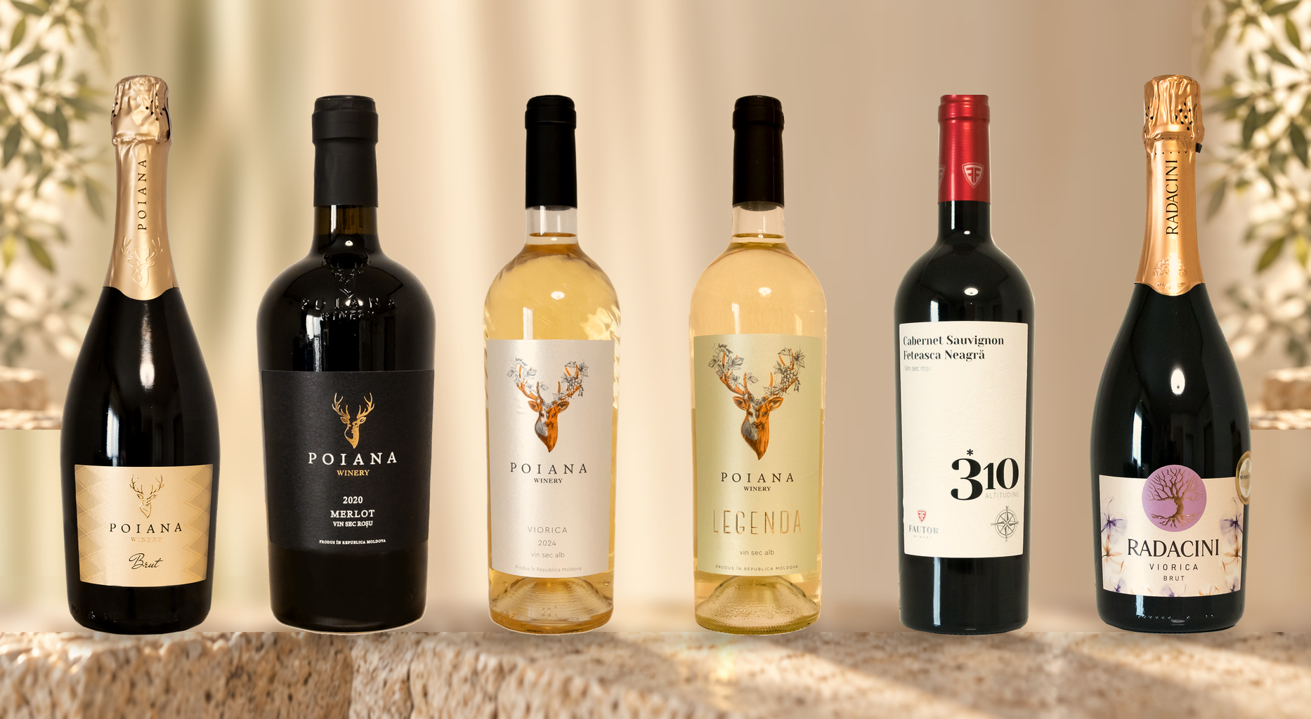 モルドバ6銘柄飲み比べ 赤2・白2・泡2