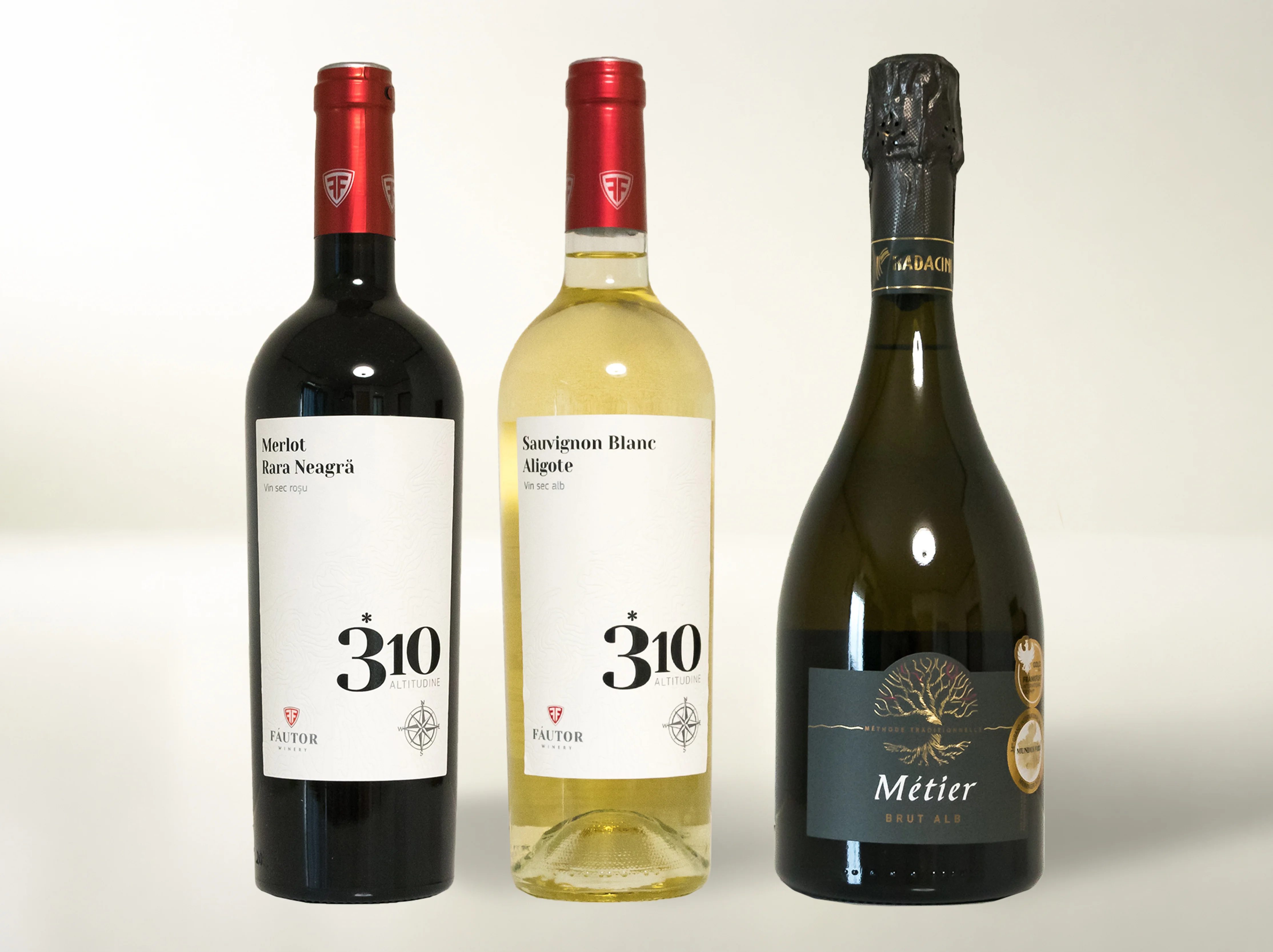 初めてのモルドバワイン 3本セット（赤・白・泡） - ララ・ネアグラ使用モルドバワイン